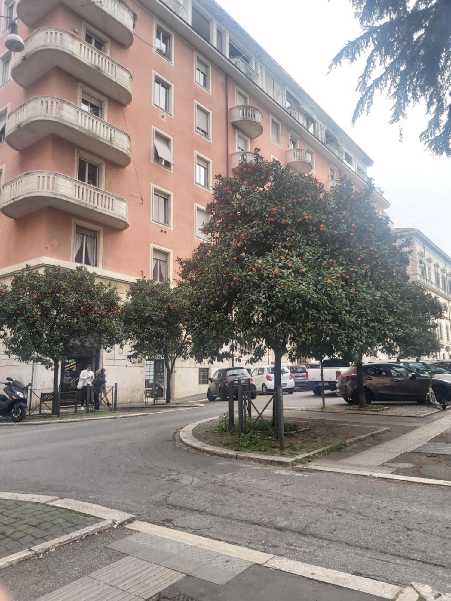 Holiday Colosseum Rome Bed & Breakfast Exterior photo